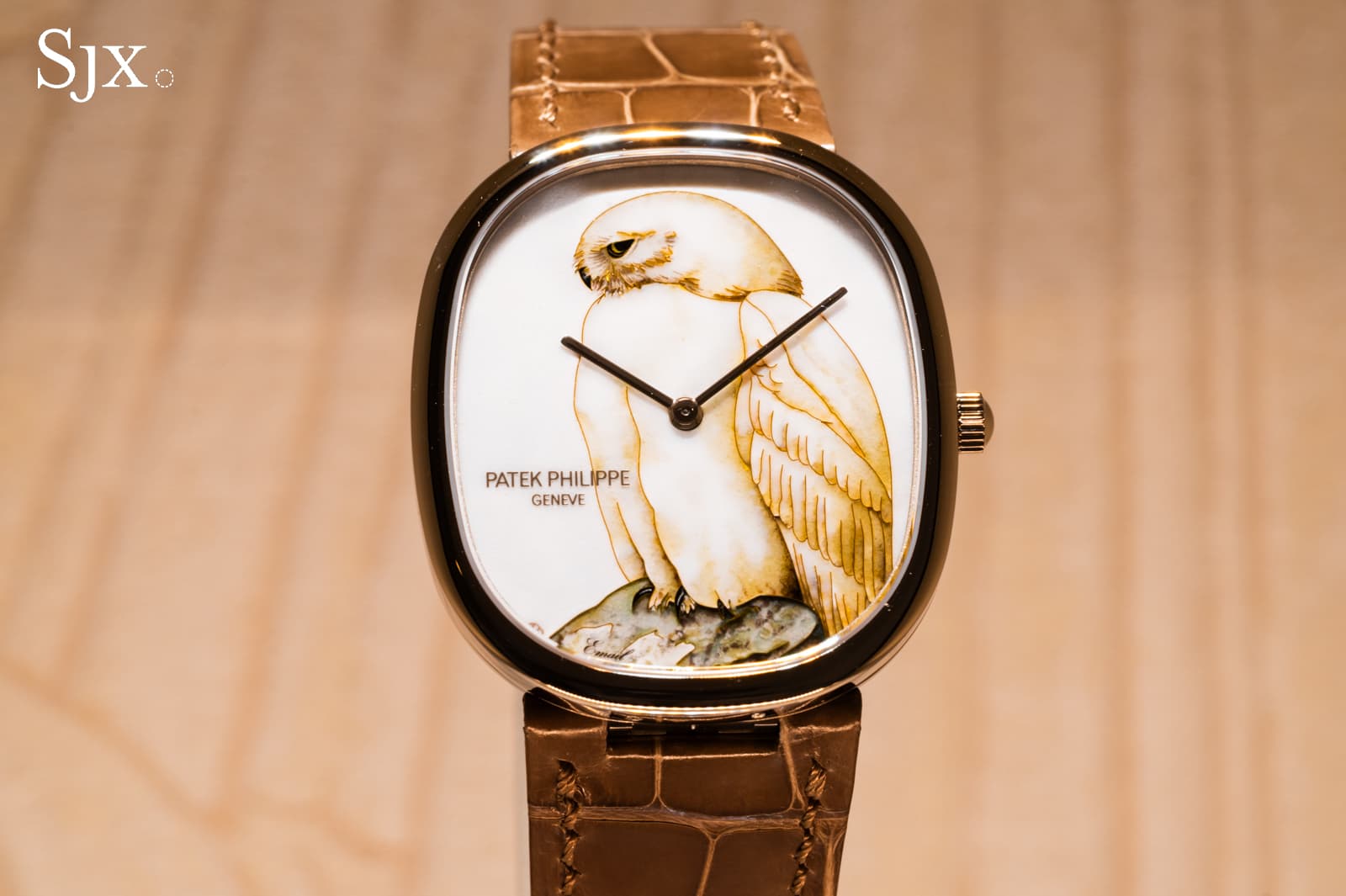Patek Philippe Rare Handcrafts 2026: مينات Golden Ellipse بمينا cloisonné يعيدان عيار 240 إلى الواجهة بثيمة 'طيور الليل' و'سحر الطاووس'