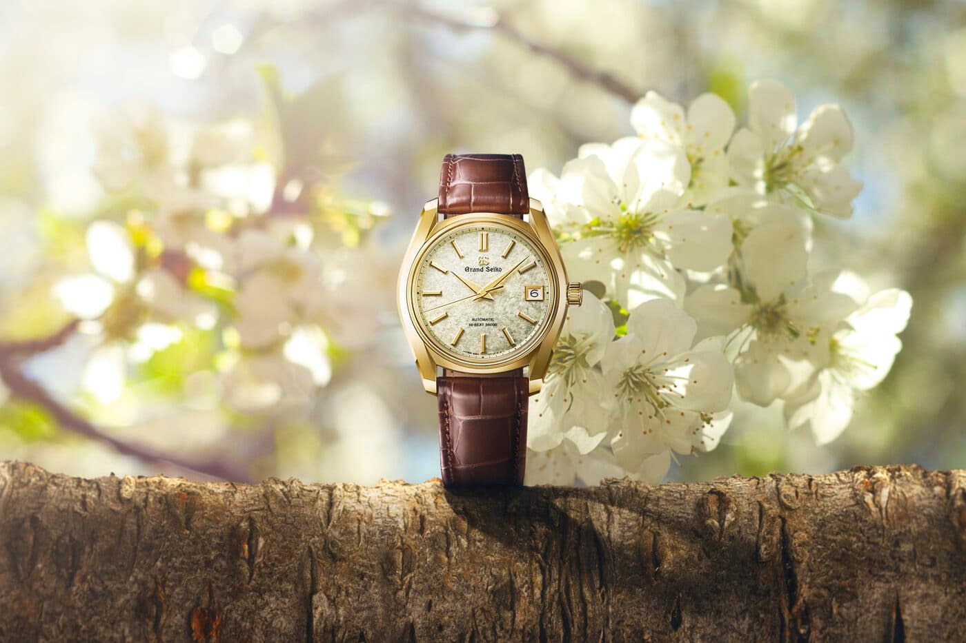 Grand Seiko SBGH376 "Sakura-Wakaba": The First Permanent 62GS in 18k Yellow Gold